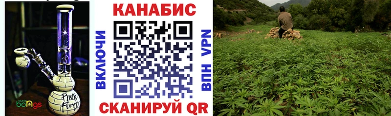 мориарти какой сайт  Кудымкар  Конопля White Widow 